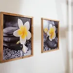 Plumeria - Vacanze In Centro A Palermo Zona Politeama