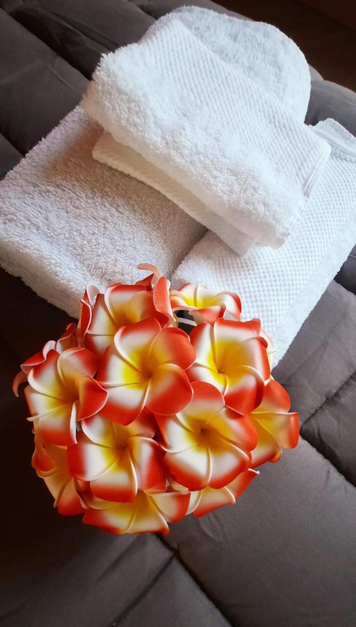 Plumeria - Vacanze In Centro A Zona Politeama Apartment